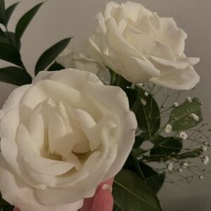 Meet your Posher, Crystal